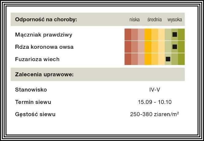 Owies Ozimy KWS SNOWBIRD - Nawet 9t. z hektara - Nasiona Owsa Ozimego