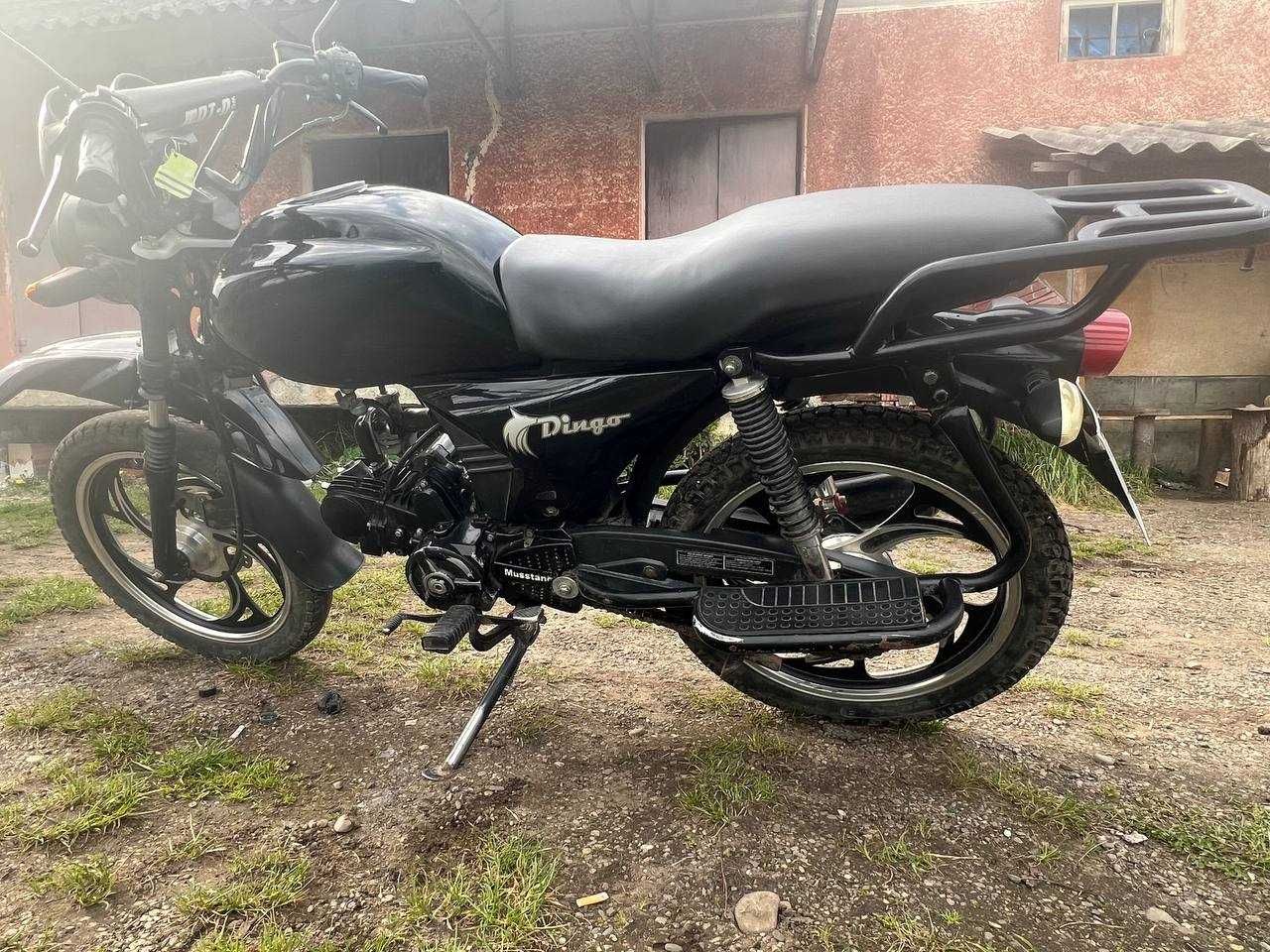 Musstang dingo 125