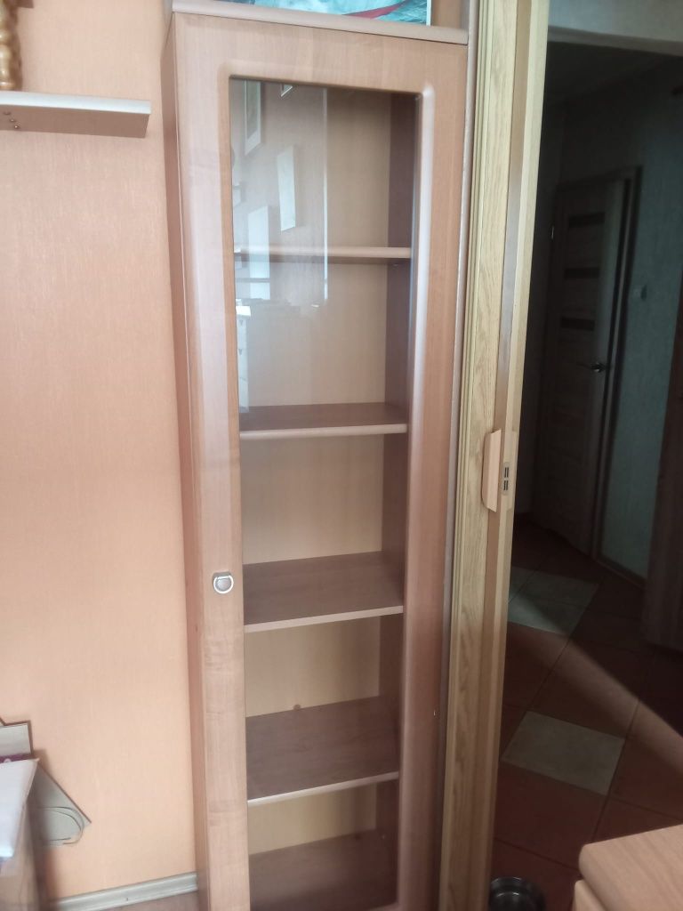 Sprzedam przeszkloną witrynę