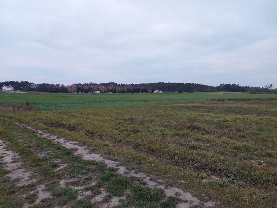 Sprzedam działki Mieściska, gmina Duszniki