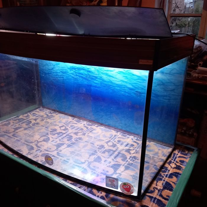 Akwarium 240 litrow