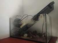 Aquário para peixes