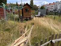 Drewniany domek i deski do oddania za darmo