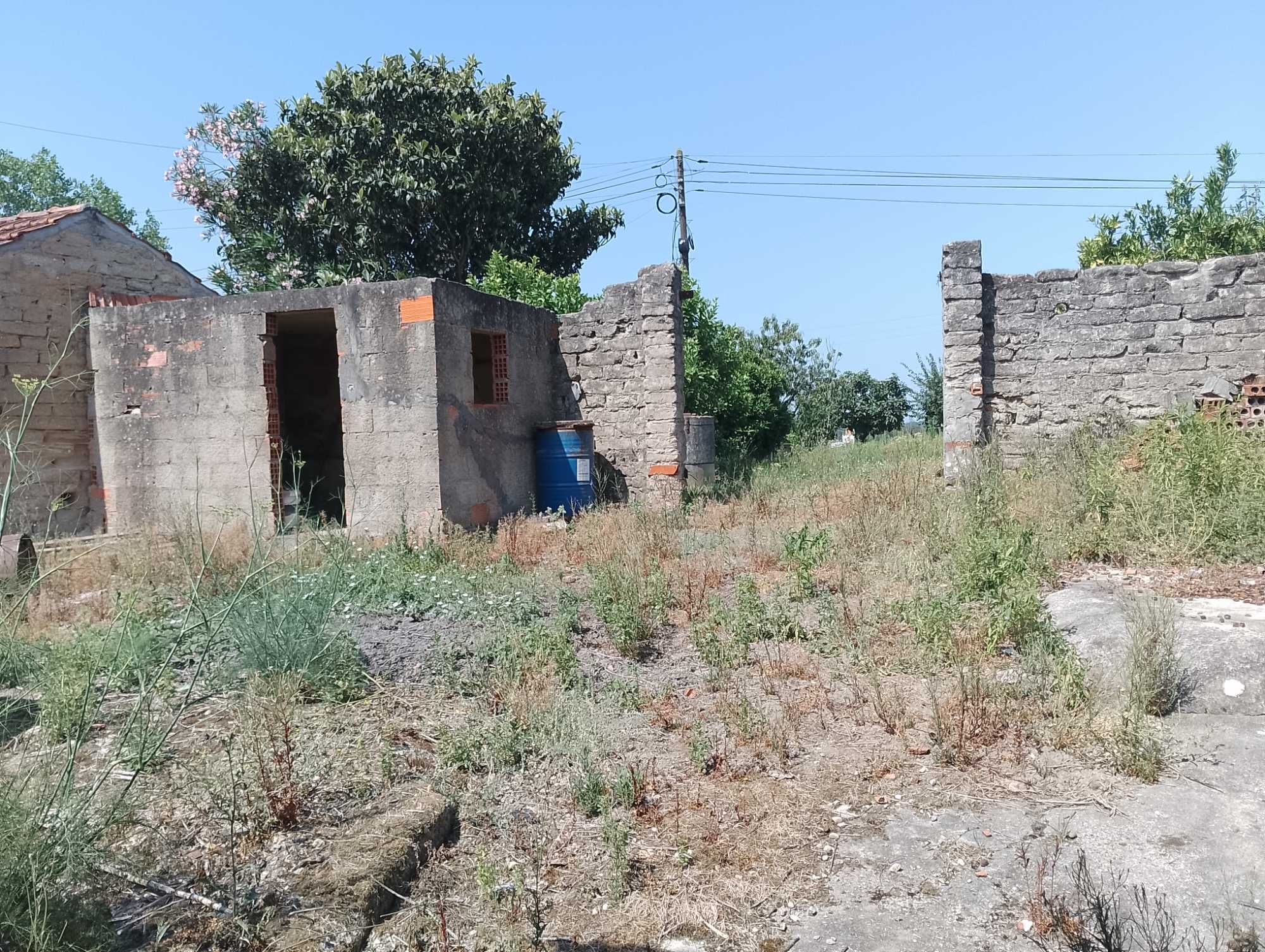 Casa antiga para reabilitar, pátio, lagar, currais, quintal arborizado