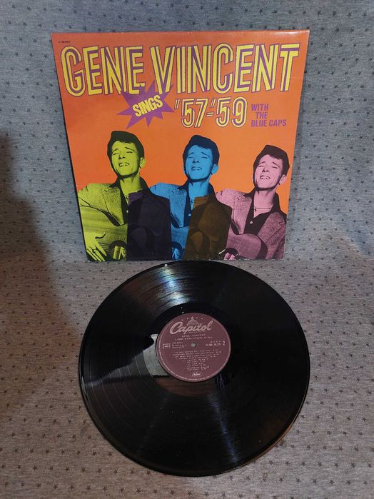 Discos de vinil elvis entre outros