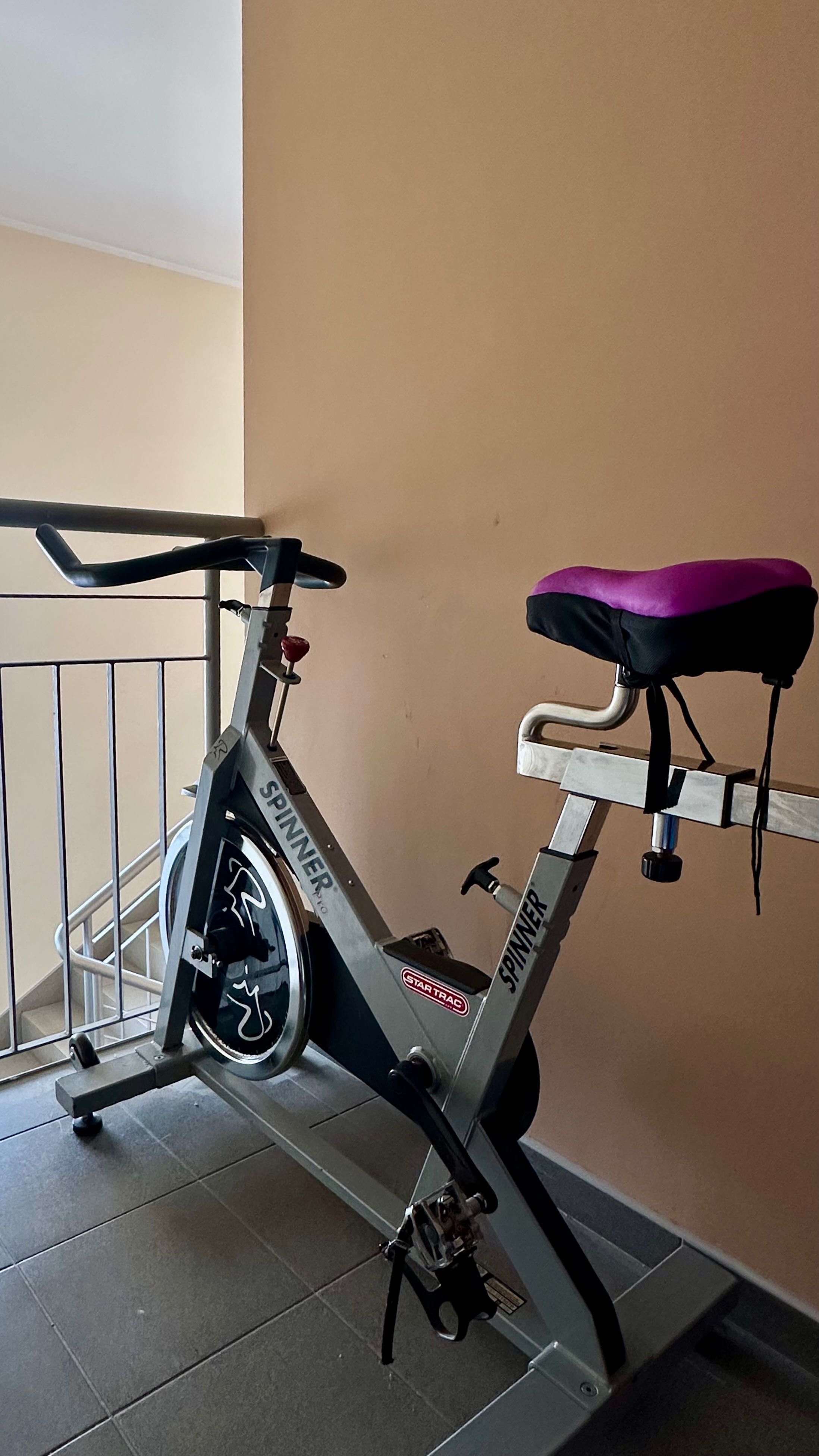 Rower stacjonarny spinningowy Star trac spinner pro
