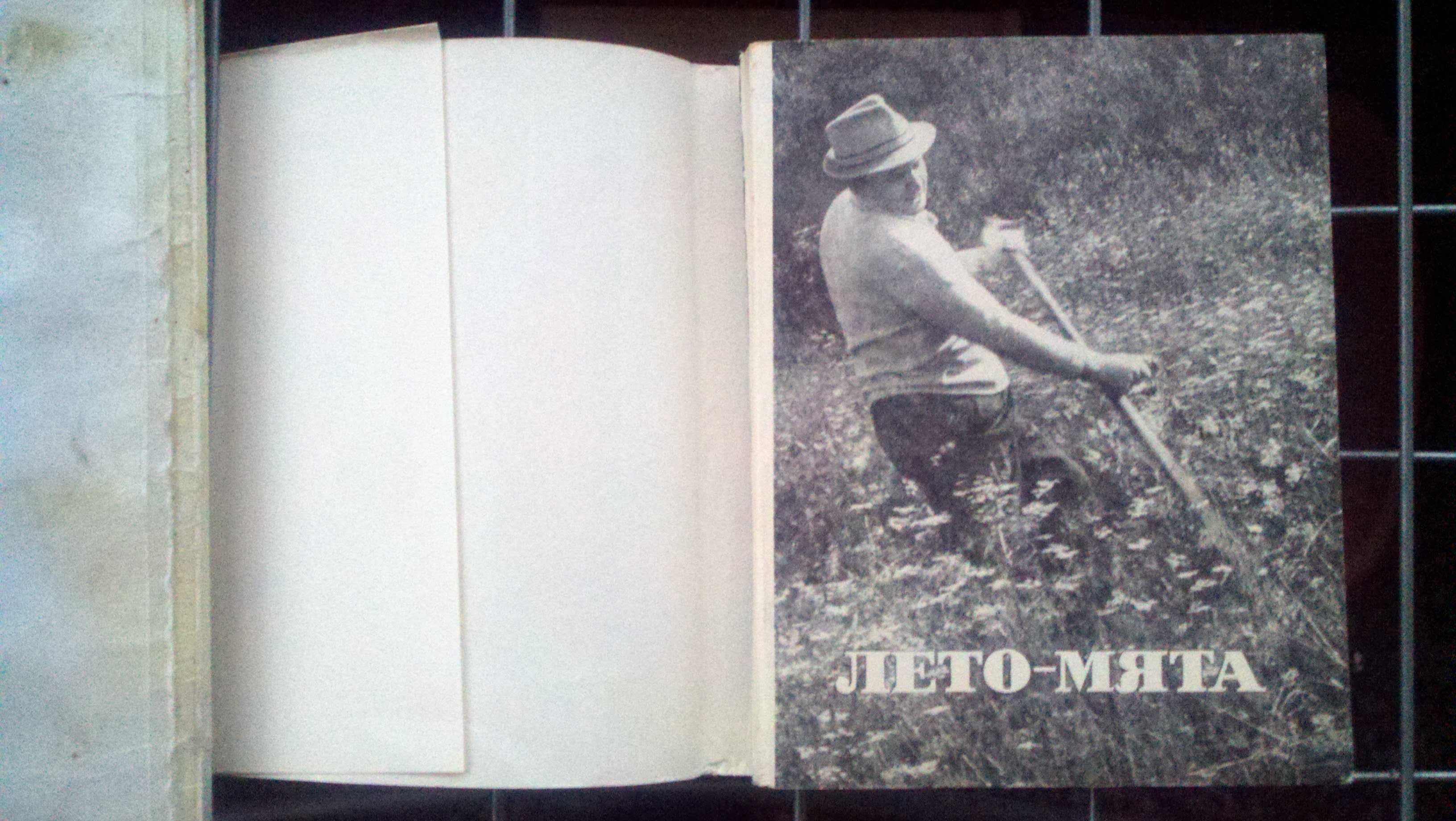 Лето - мята.Боков Виктор Федорович.Стихи.1966 г.