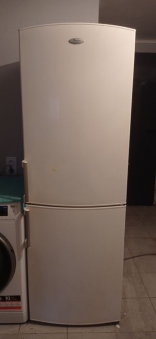 Lodówka Amica doskonała dla studenta