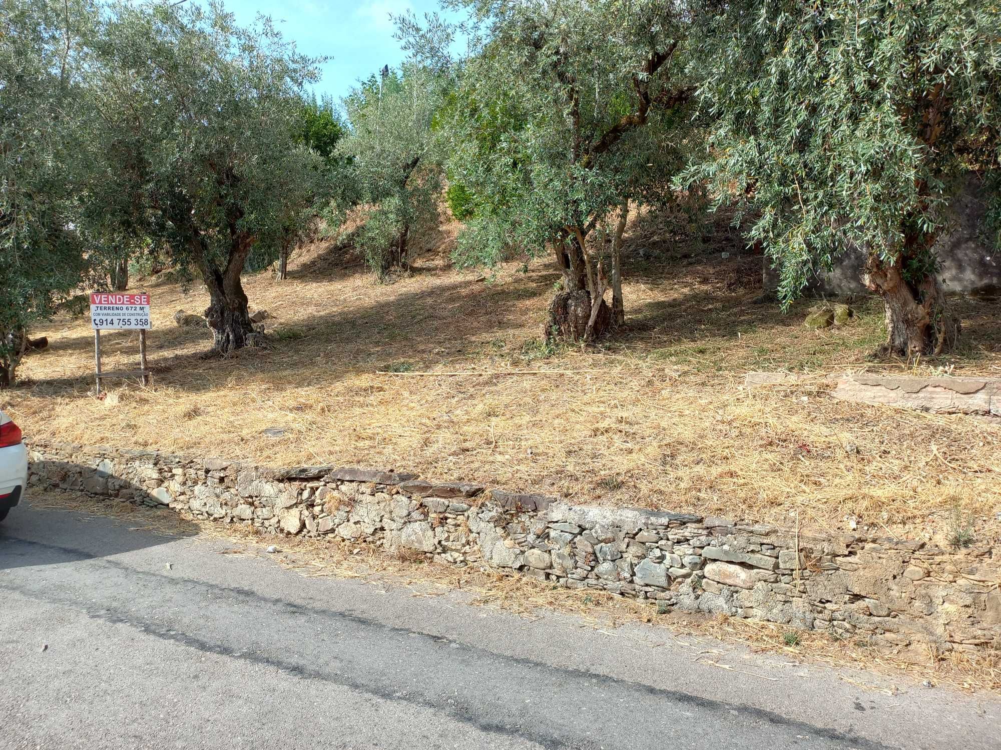 TERRENO Urbano com viabilidade para construção