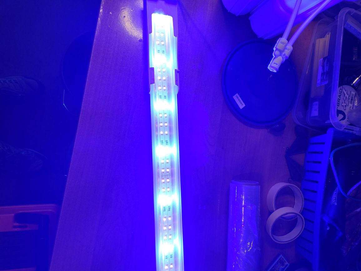 Oświetlenie, lampa LED do akwarium morskiego