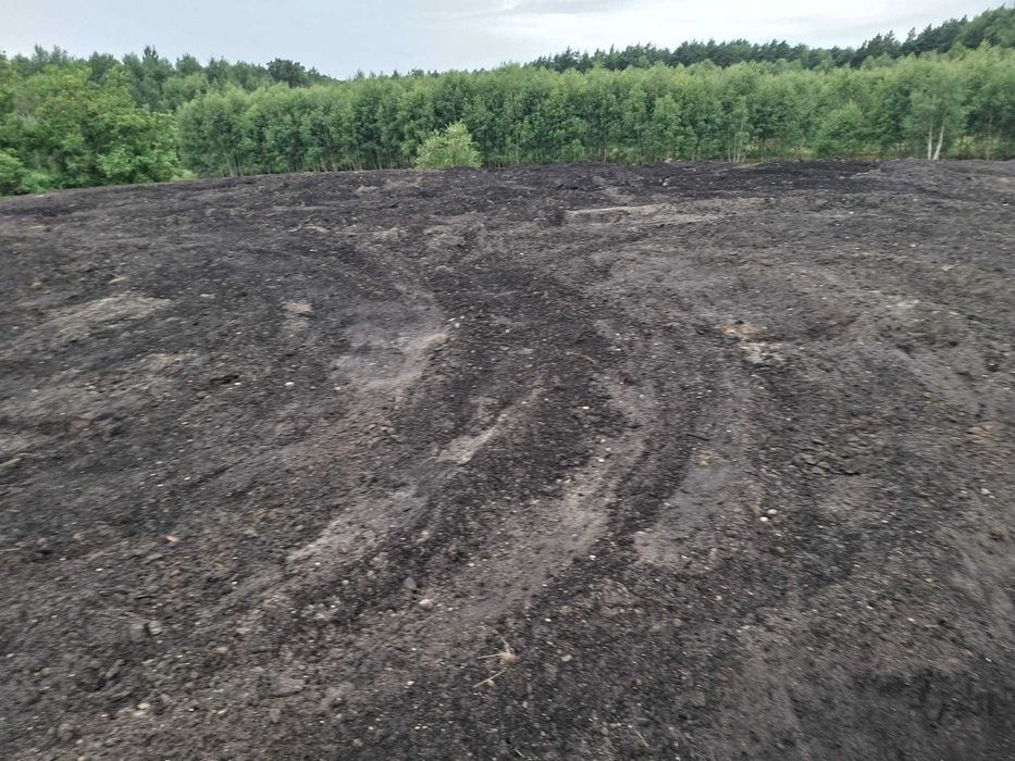 Sprzedam ziemię czarną - czarnoziem