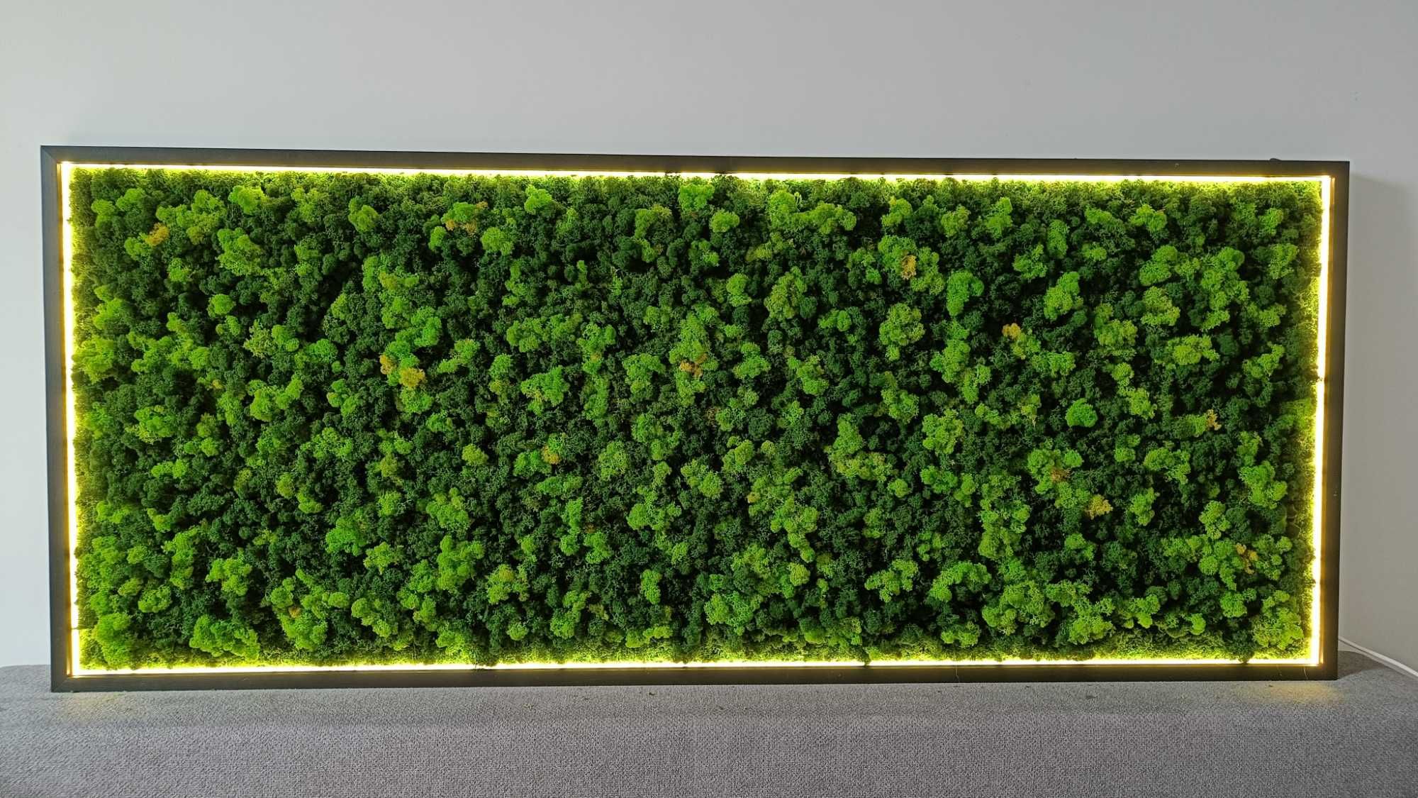 Rama podświetlona LED 100x40cm z mchem poduszkowym, chrobotkiem