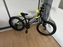 Rower Kross 20” Level Mini