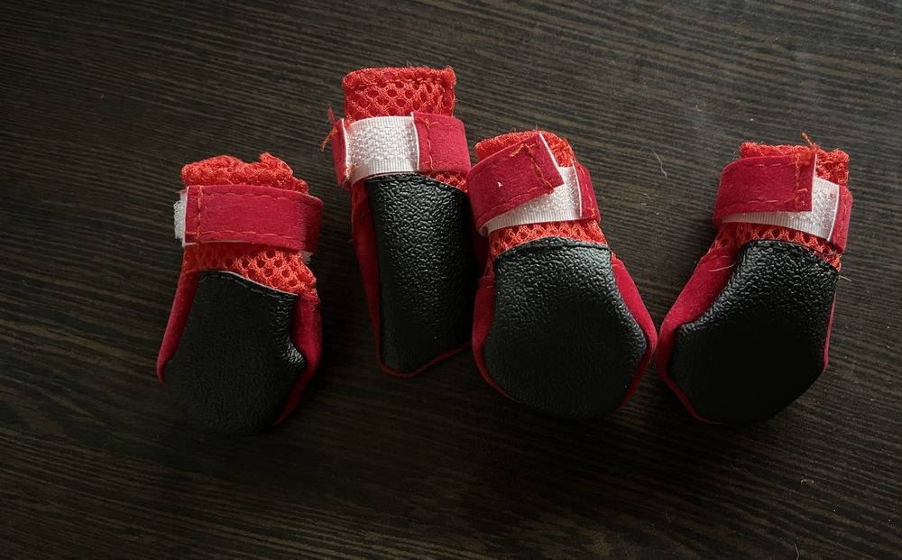 Взуття для собак/котів