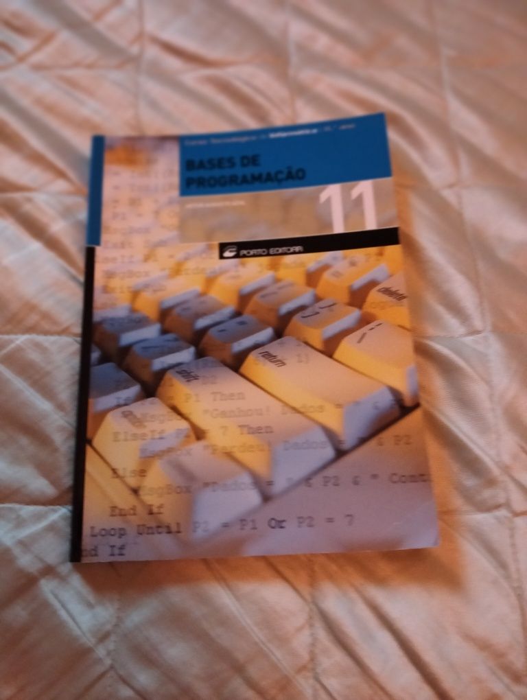 Bases de programação.