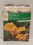 Grzybnia mikoryzowa Kurka pieprznik jadalny