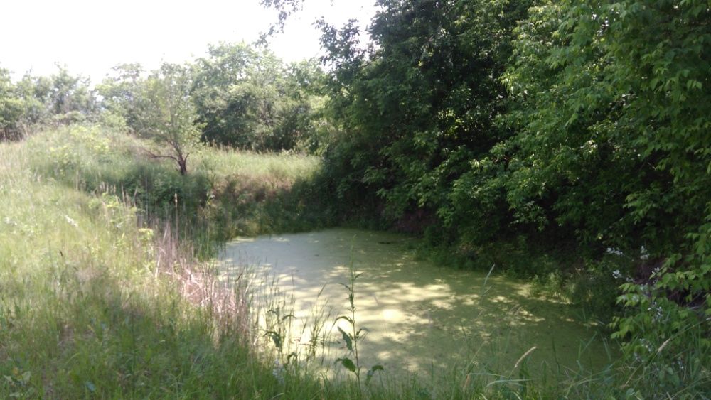 Продам будинок в центрі села Жукин, 35 км від Києва