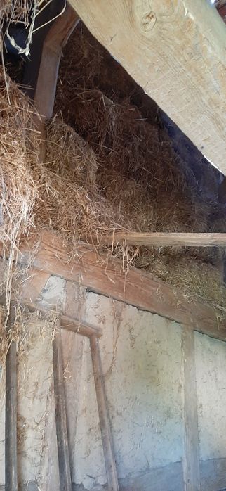 Słoma sucha luzem za darmo duża ilość od ręki