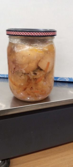 Тушкованка домашня