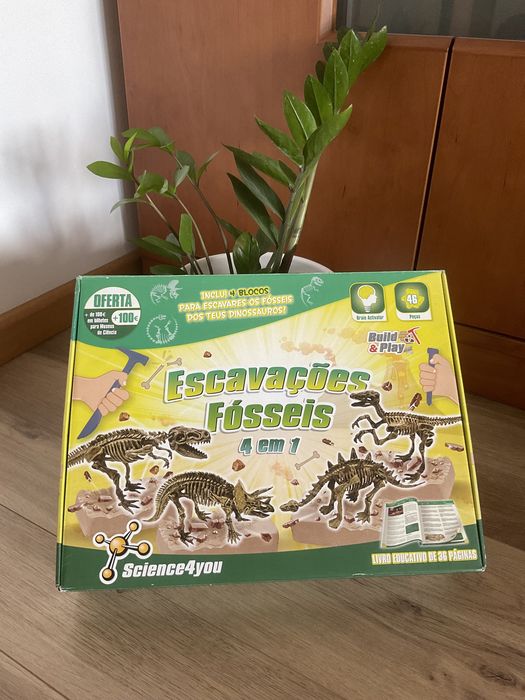 Esqueletos Dinossauros Miniatura