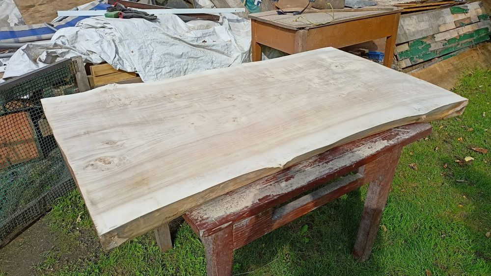 Topola kanadyjska monolit na piękny stół