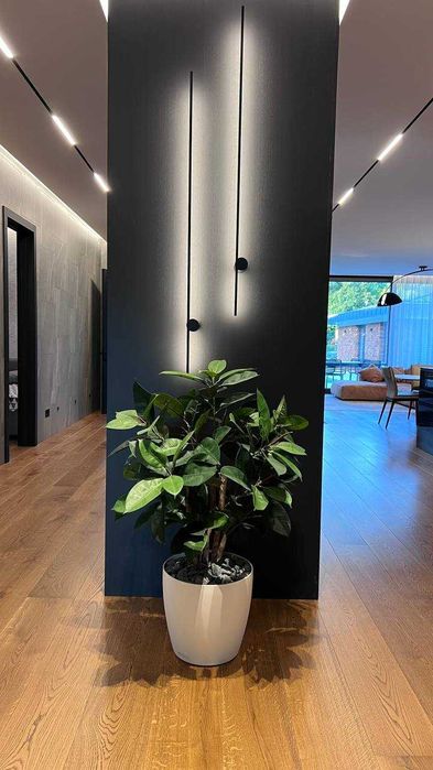 Продажа одноэтажного дома с бассейном и ремонтом в Сосновом Береге.