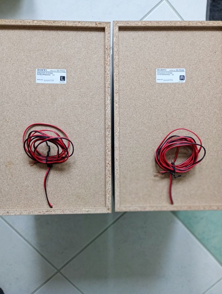 Kolumny Sony SS RG30