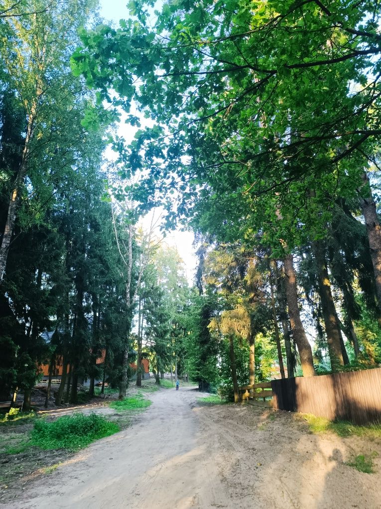 Domek MiKaMa nad jeziorem Dadaj