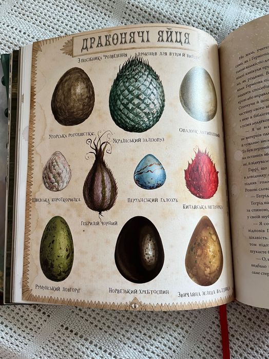 Книга Гаррі Поттер і філософський камінь, Дж, Ролінг