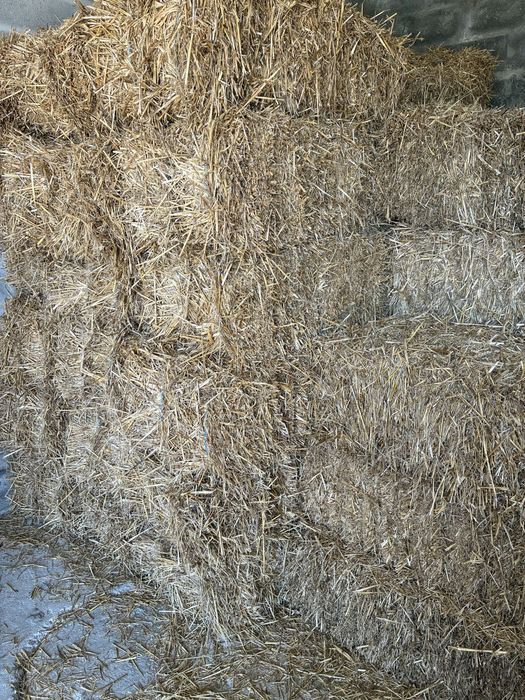 Fardos de palha de trigo