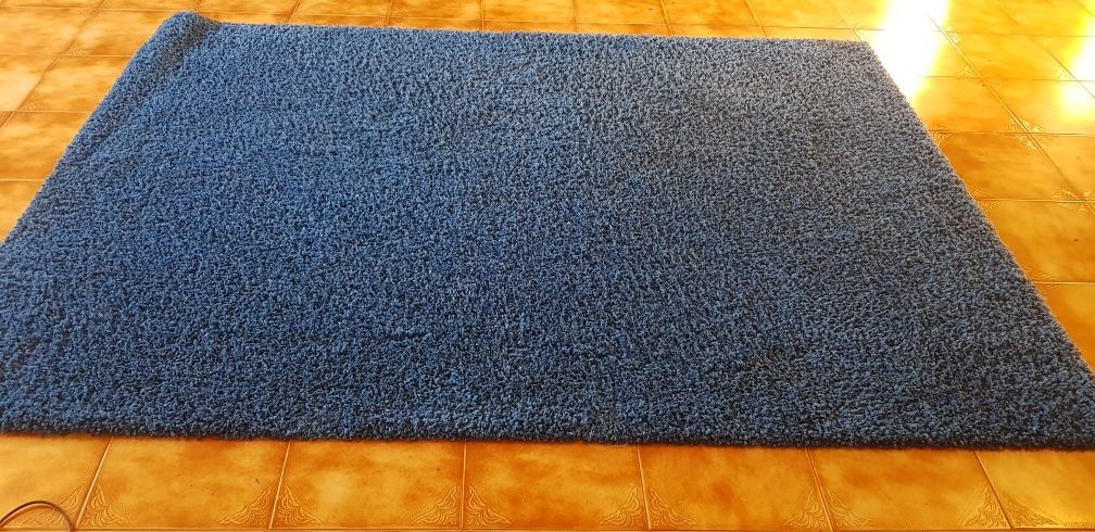 Carpete azul vivo