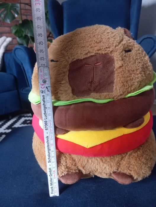 Sprzedam kapibara Capibara