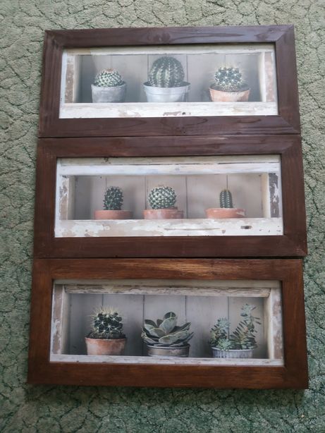 Kaktusy obrazy w drewnianych ramach