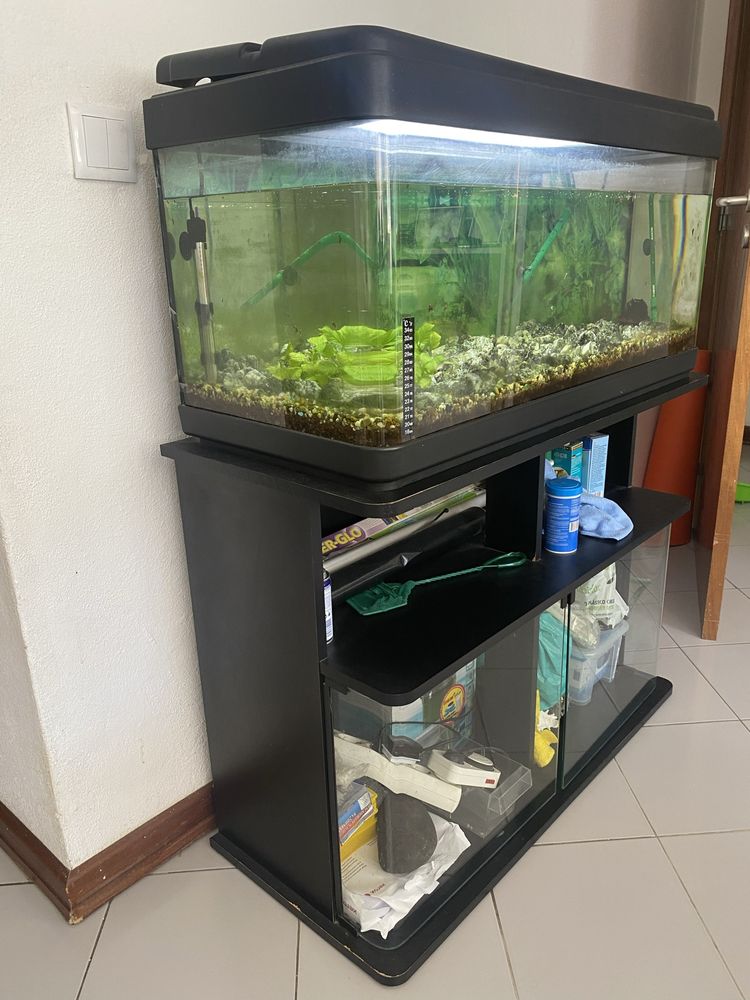 AQUÁRIO 100 litros completamente equipado com Móvel