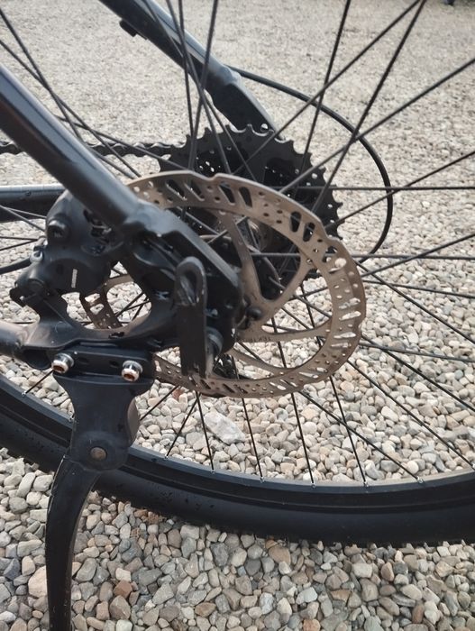 Kands Comper 29 stan igła