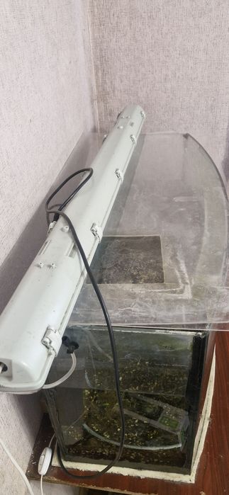 Акваріум "Природа" 190 літрів із панорамним вигнутим склом. Торг!