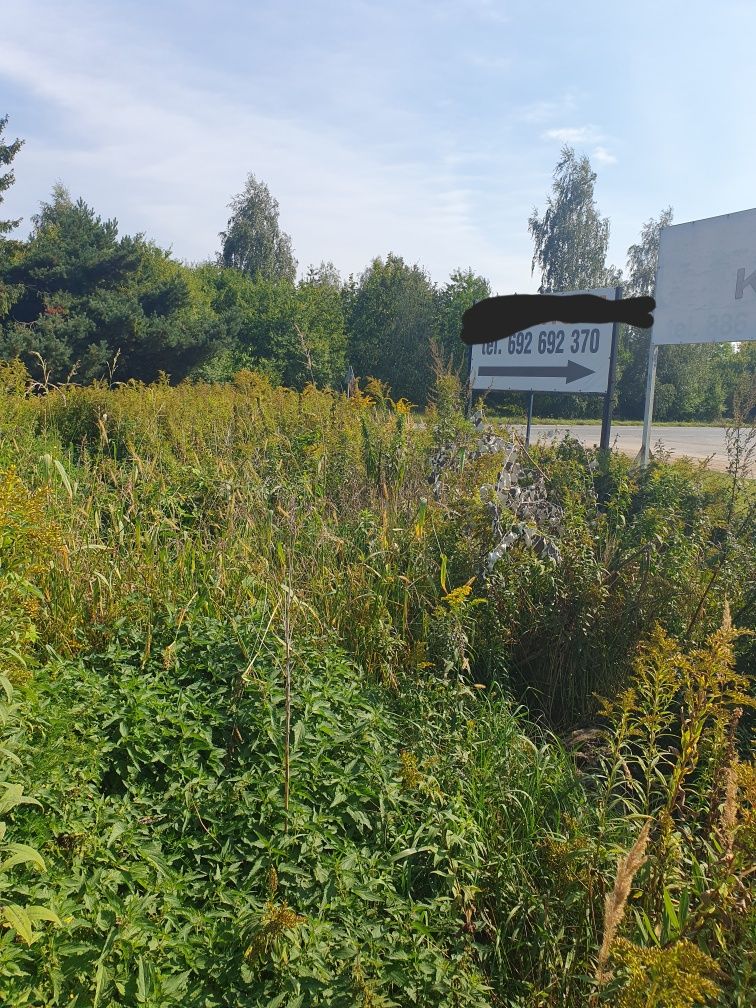 Billboard reklama dwustronna wolnostojąca