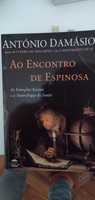 Livro de psicologia Ao Encontro de Espinosa