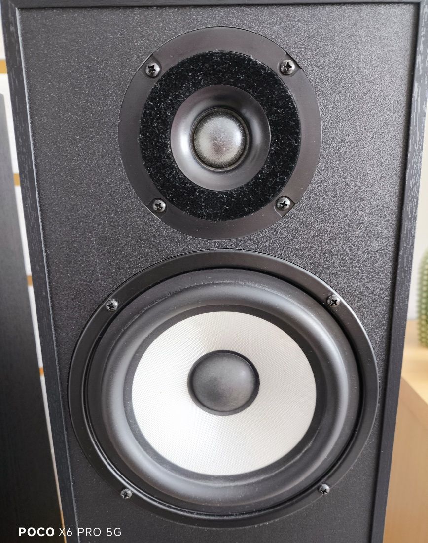 Pylon Audio Pearl 20