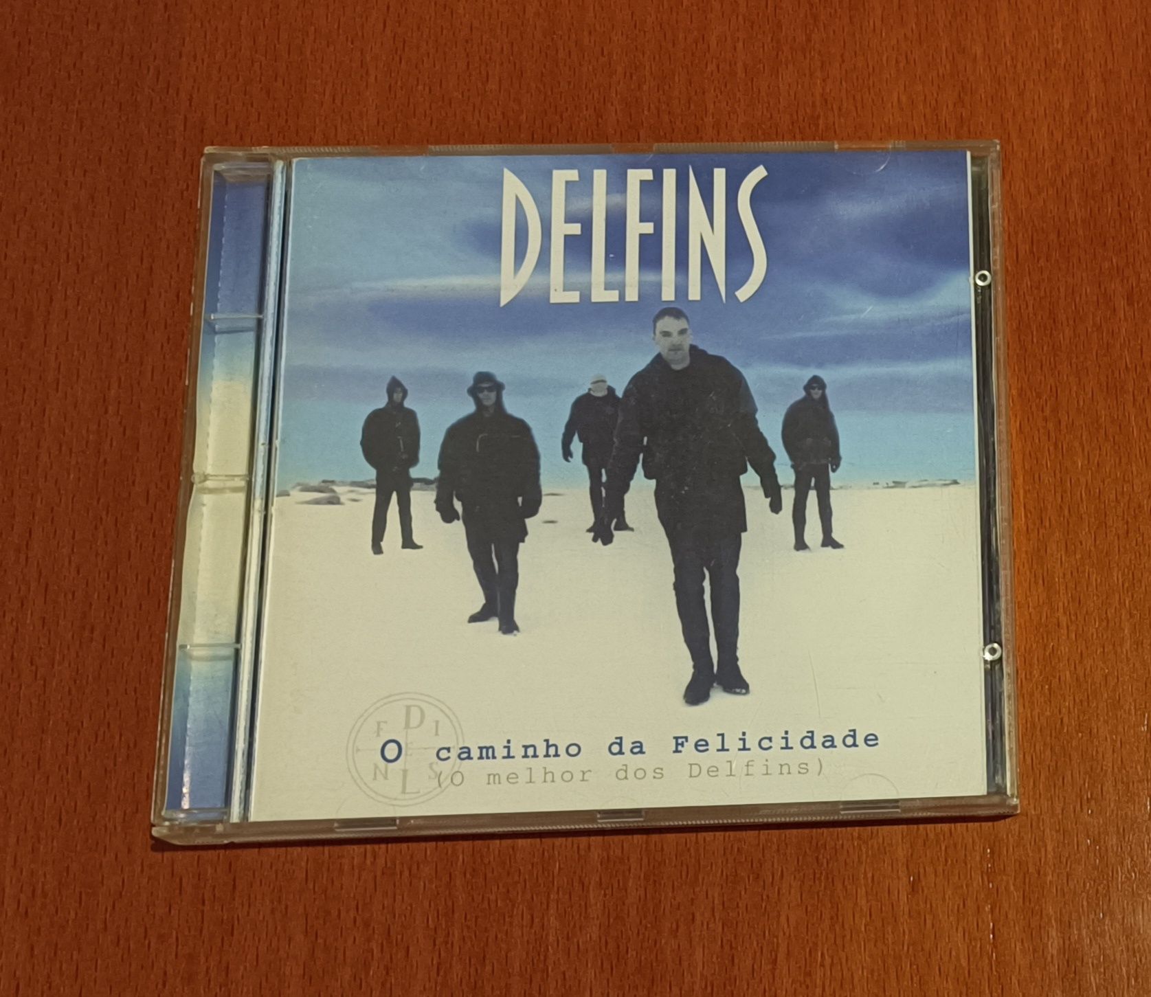 CDs de Limp Bizkit, Santana, Enigma, Mafalda Veiga e Delfins.