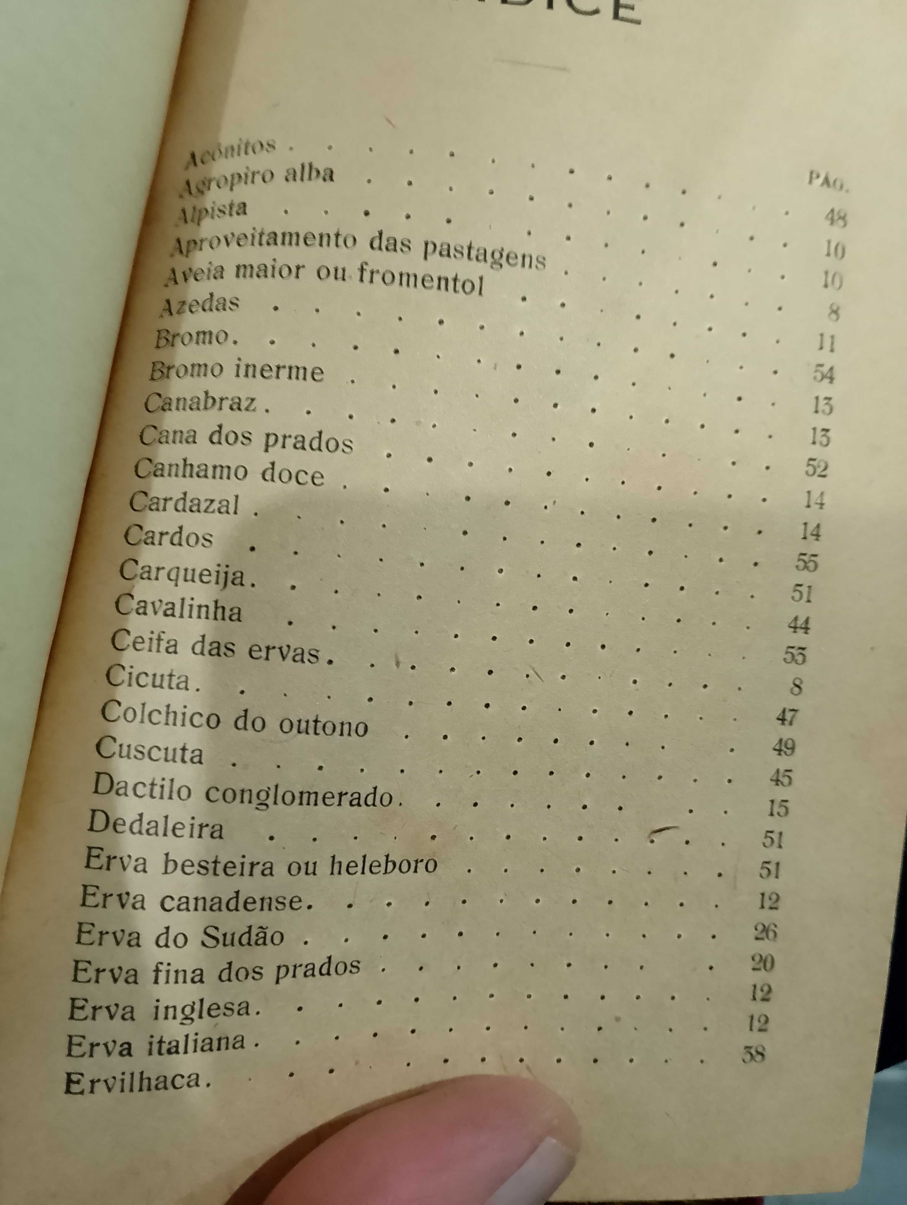 Prados e Pastagens 1944 Armando Xavier da Fonseca