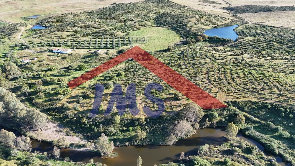 Herdade vedada ribeira barragens poço furo monte olival cortiça caça