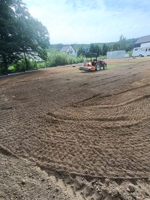 Szkółka drzew krzewów roślin