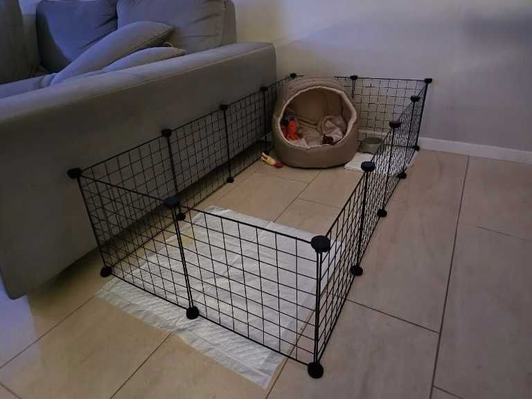 Kojec Klatka Wybieg Dla Królików Świnki Kota Psa Szczeniąt Gryzonii