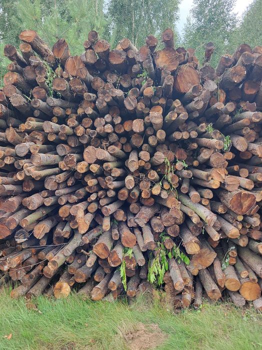 Drewno opałowe olcha, sosna, dąb, brzoza