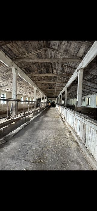 Продаж бізнесу фермерського господарства
