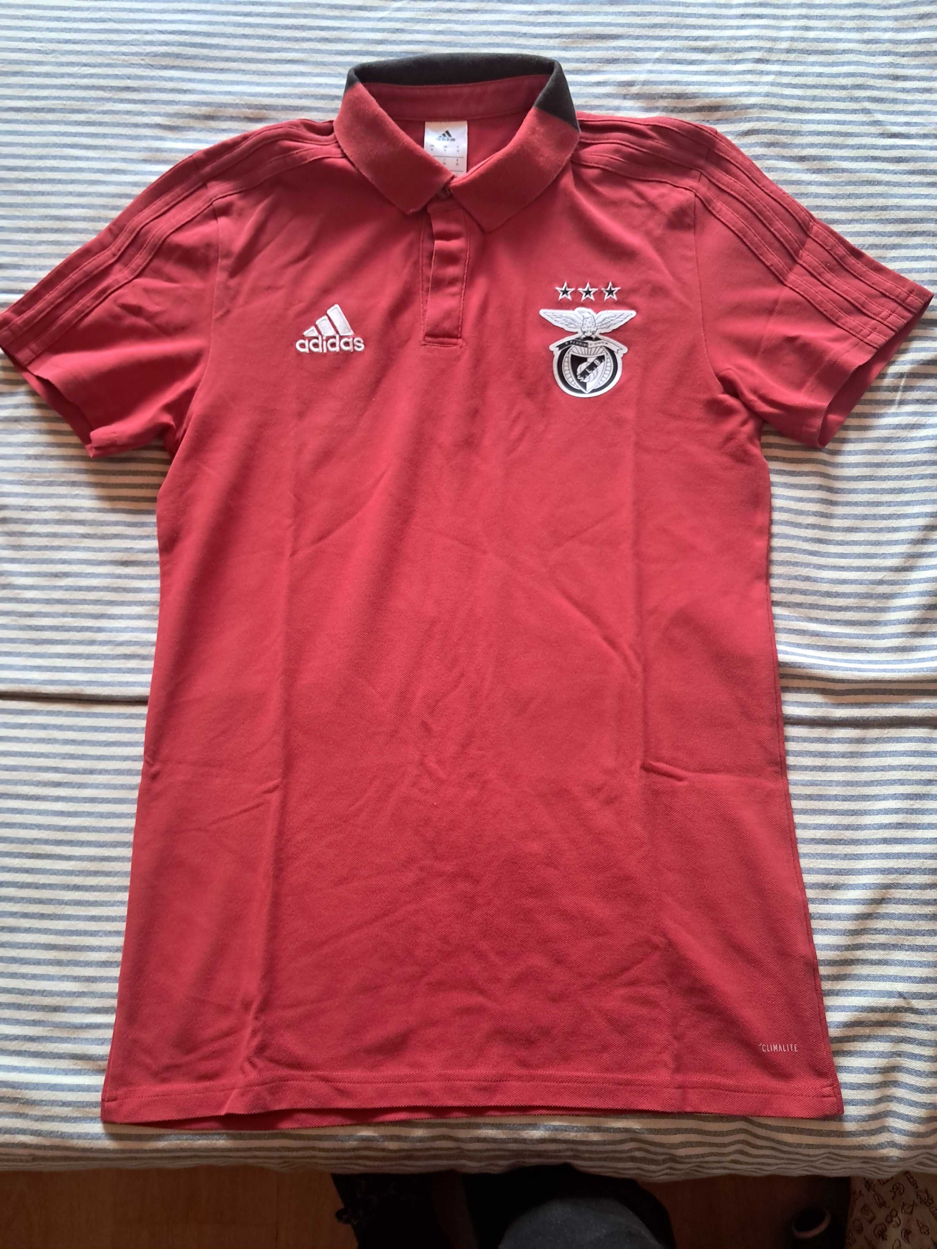 Polos  do Benfica