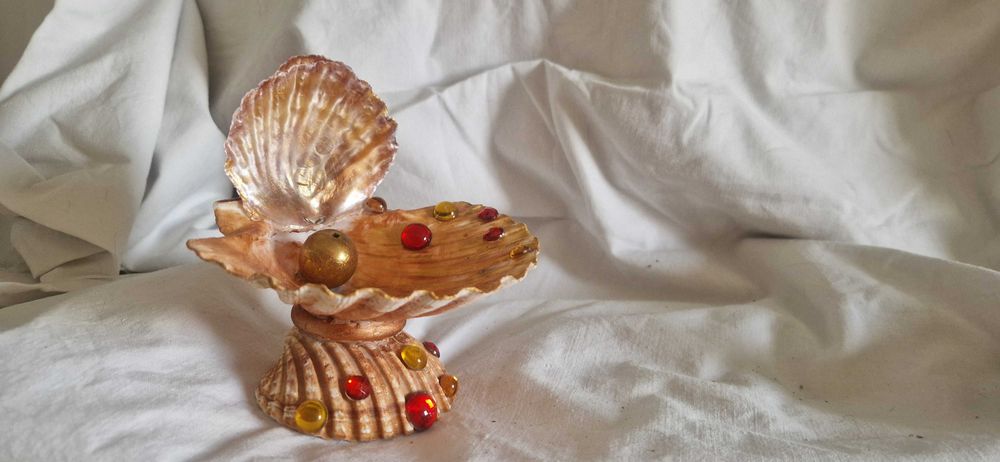 Solidariedade para associação sem fim lucrativos