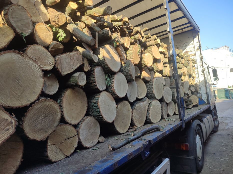 Дрова 1800грн. оптом!!! Дуб, граб, акация