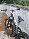 Bicicleta de downhill Votec fr 195